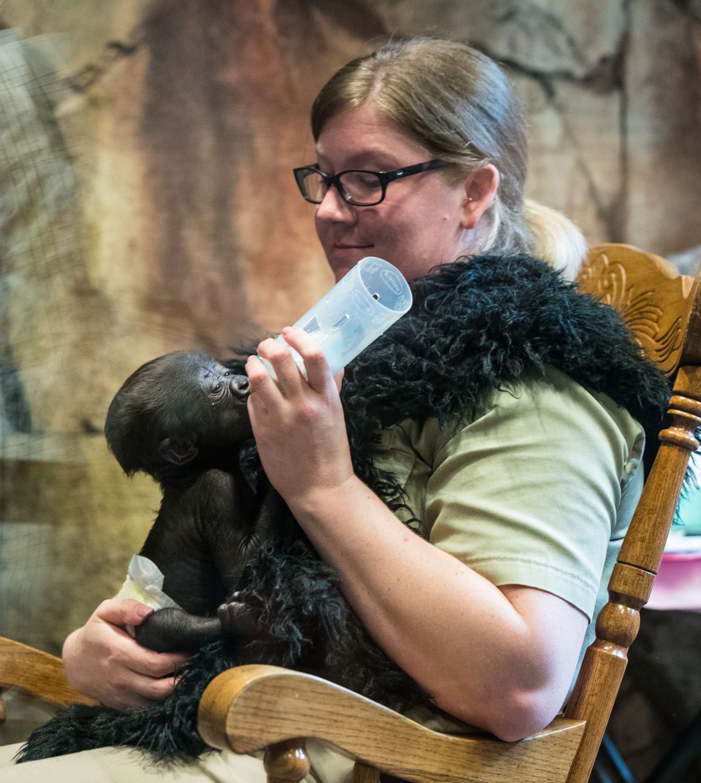 Baby gorilla debuts at Henry Doorly Zoo